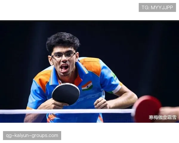 印度击败强敌,投球阵容完美运行,印度球迷 印度击败强敌,投球阵容完美运行,印度球迷